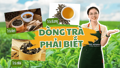 3, Ba loai tra pha che.png