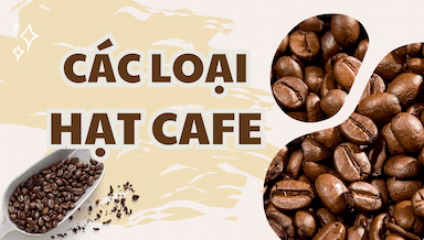 cac loại hat ca phe.png