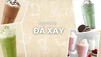 chuyen de da xay.png