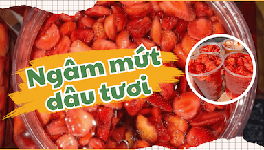 ngam mut dau tuoi.png
