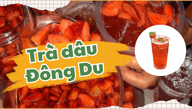 tra dau dong du.png