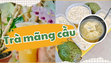 tra mang cau.png